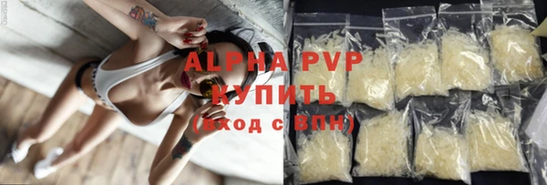 крисы Баксан