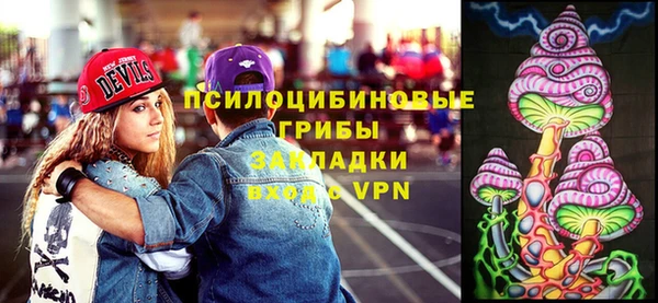 крисы Баксан