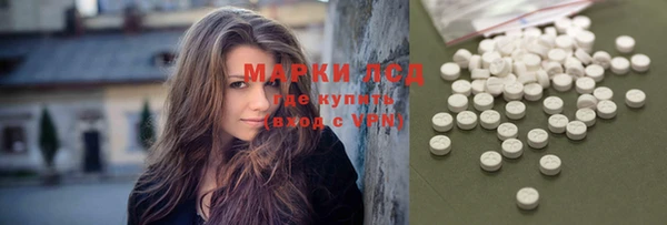 крисы Баксан