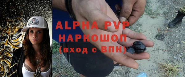 крисы Баксан